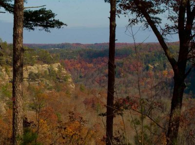 Tunnel Ridge Road Overlook