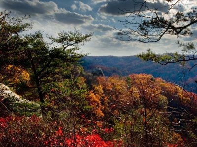 From Auxier Ridge Trail