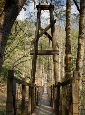 Suspension Bridge