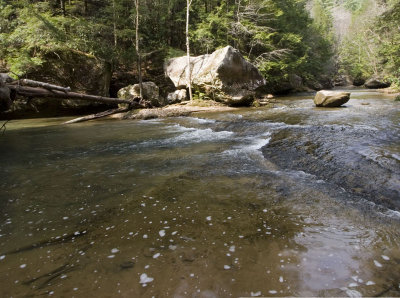 Swift Camp Creek near Wildcat Trail