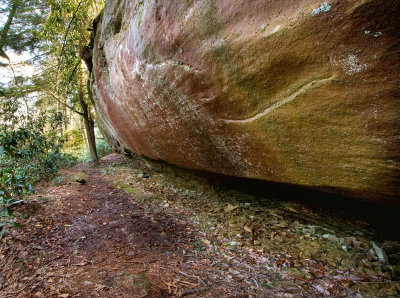 On Wildcat Trail