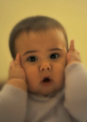 g3/24/738224/3/120818539.Lsa9RxGD.jpg