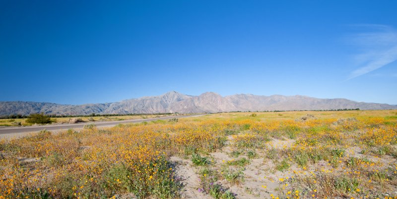 Henderson Canyon Road
