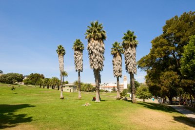 Dolores Park