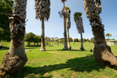 Dolores Park