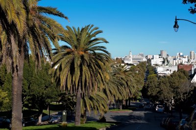 Dolores St