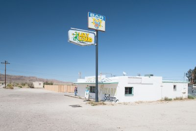Ocotillo