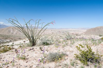 Carizzo Badlands Overlook