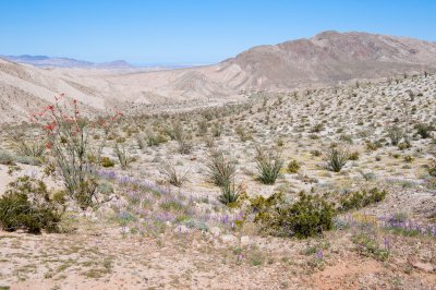 Carizzo Badlands Overlook