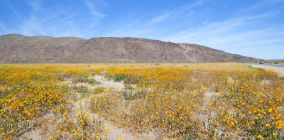 Borrego Valley