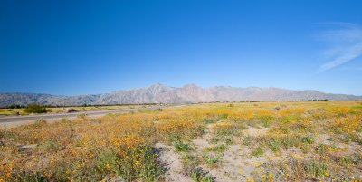 Henderson Canyon Road