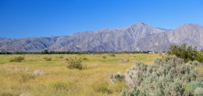 Henderson Canyon Road