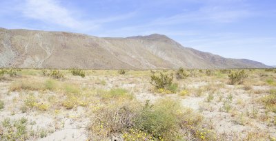 Coyote Canyon