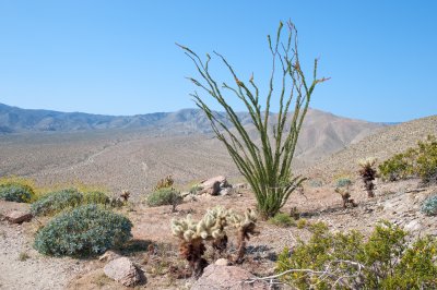 g3/24/745724/3/124037070.2dSDUvai.jpg