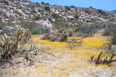 Morteros Trail
