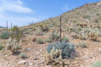 g3/24/745724/3/124038614.6cMksS88.jpg