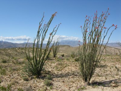 Carizzo Badlands Overlook