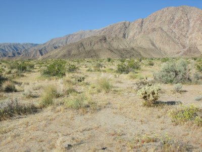 Galletta Meadows