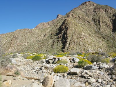 g3/24/745724/3/124067630.oapONhZq.jpg