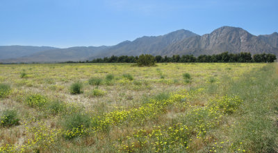 Henderson Canyon Road