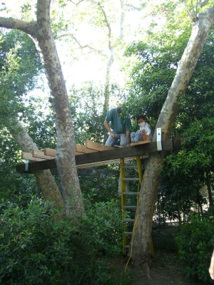 email treehouse 2 CIMG0885.jpg