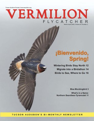 Vermilion Magazine cover