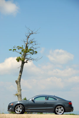2009 Audi S5 at Shenandoah National Park, Va