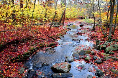 Creek at Great Falls Park, Va