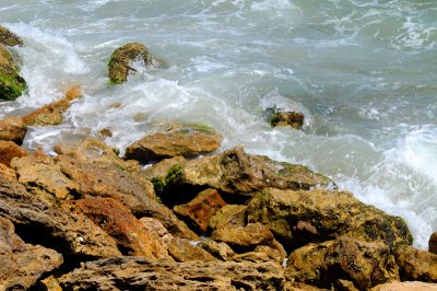 Rocks on Melbourne Beach Florida