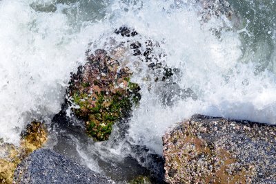 Rocks on Melbourne Beach Florida