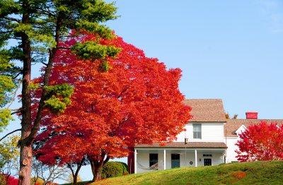 Home in Southern Maryland late November