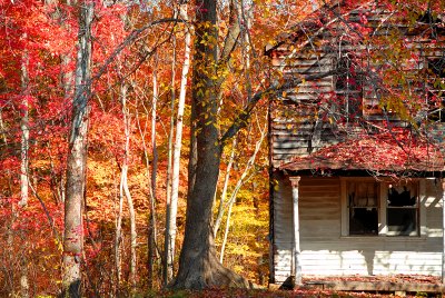 Empty house in Fall closeup