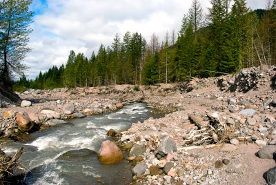 Sandy River Flood Plain