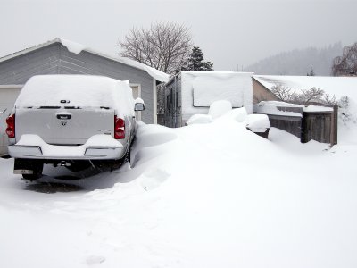 Snow and the Garbage Cans