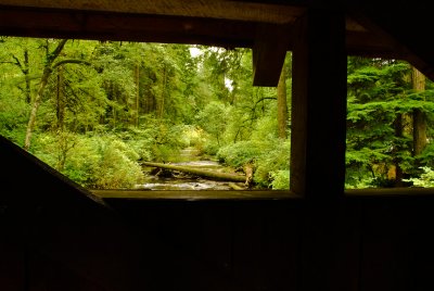 Through the Bridge Window