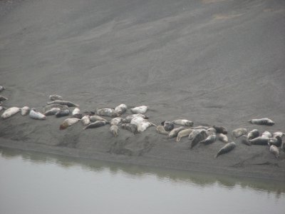 IMG_1181.JPG