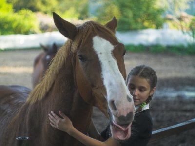 Horselittle girl.jpg