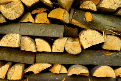 Lime Wood Log Pile