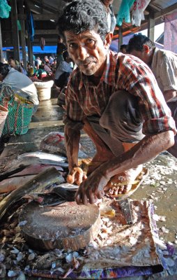Fishs market 6