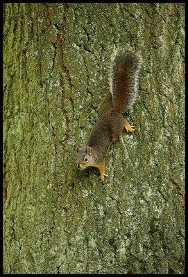 IMG_1546.JPG