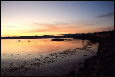 IMG_1022_filtered.JPG