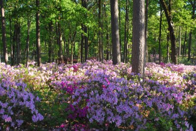 DSC_4165.JPG