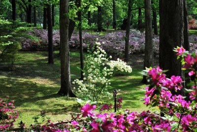 DSC_7863_edited-1.jpg