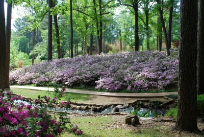 DSC_7869_edited-1.jpg