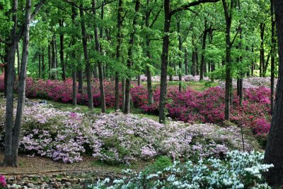 DSC_7875_edited-1.jpg