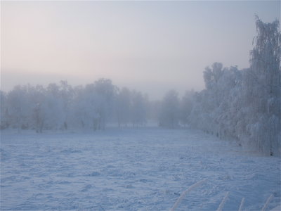 Cold haze over a field