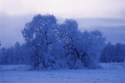 A really cold day in Sweden