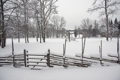 Fence in snow