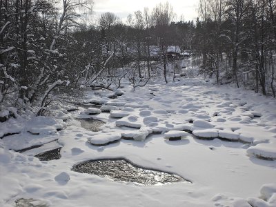 The habitat of white-throated dipper