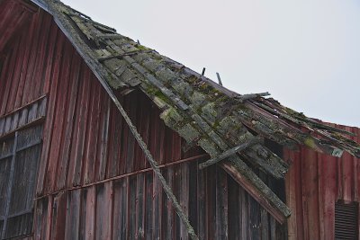 Roof in decay